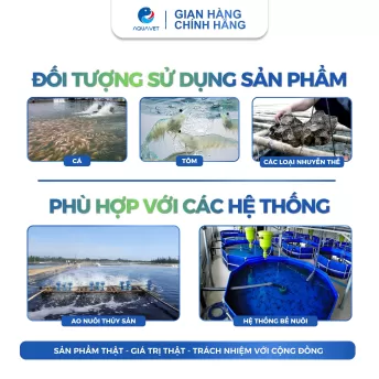 Siêu Lắng Tụ Polymer Anionic